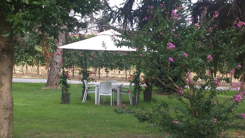 Agriturismo Villa Dei Gelsi Cotignola Buitenkant foto